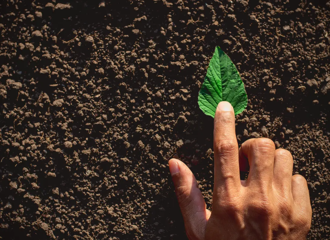 Mano tocando una hoja